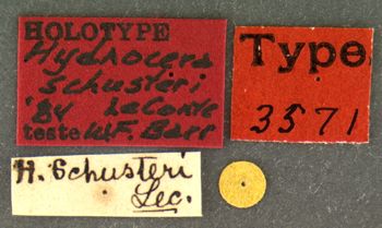 Media type: image;   Entomology 3571 Aspect: labels